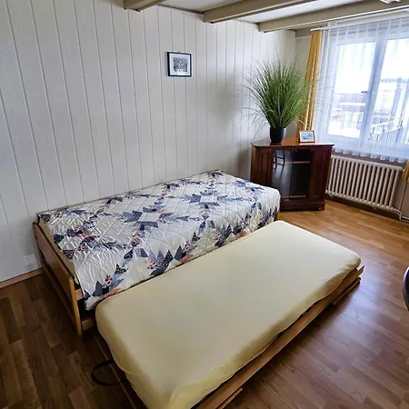 Apartment Alpine Balcony 4-room Beatenberg
